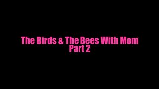 The Birds And The Bees With Stepmom Complete Series