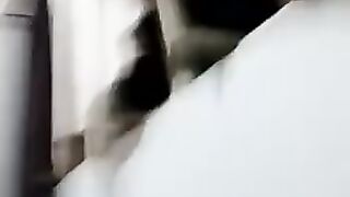 comendo minha vizinha
