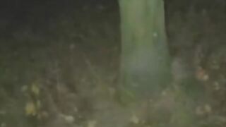 Cock sucking slut outside