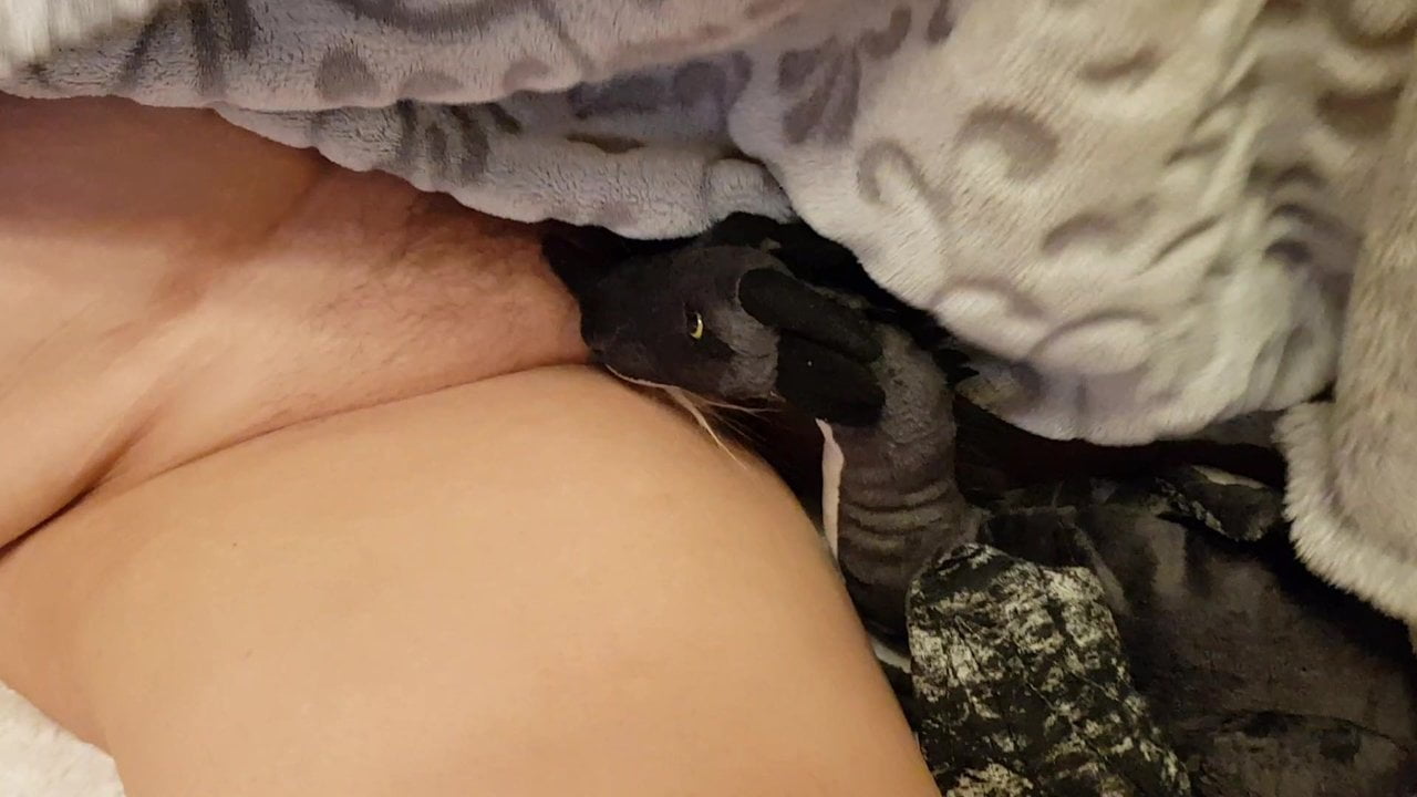 Versteckter Fick - Stepmom Incest Porn
