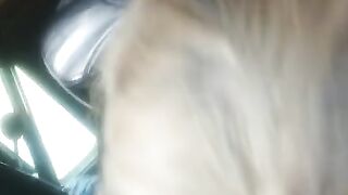 Sucking cock at 70 mph