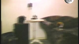 Vintage Retro German Amateur your Daily Dose of Porn