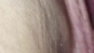 Wife's pussy