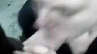 Sucking Monster Cock outdoors