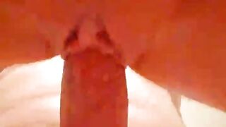 Underneath View While Fucking SecretySexyWife Doggystyle, With Cumshot