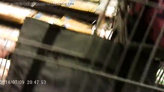 Nice Ass Shopping