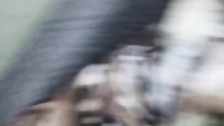 Sex wife frenk
