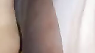 Ammi