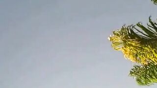 step Brother Fucks Sister In The Pool