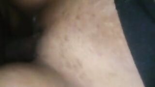 my bee