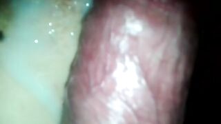 Corridas amater criollas